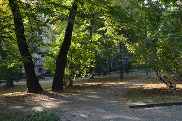 alley in the park