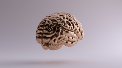 Bronze Anatomical Brain 3Q Rear Right 3d illustration 3d render