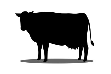 The silhouette of a cow on a white background. Cow isolated on white background.