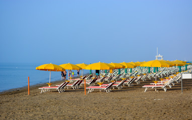 beach chairs and umbrellas on beach