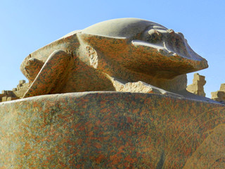 Skarabeusz, Luksor, Egipt