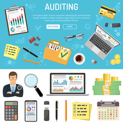 Auditing and Business Accounting Infographics