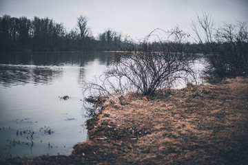 River's Edge on Gloomy Winter Day