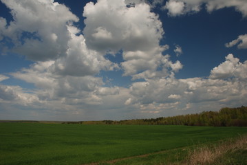 Fototapeta premium spring landscape