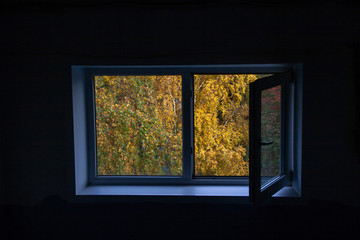 view from the window of the autumn tree yellow leaves. view from the window on nature