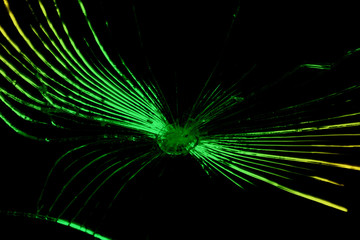 Large cracks on broken glass texture, green-black glass