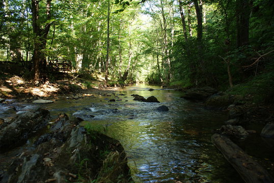 igneada floodplain, river in the forest, turkey kirklareli
