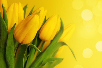 Yellow tulips bouquet on the yellow background with bokeh and copy space