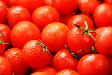 Lots of fresh ripe tomatoes with drops of dew. Close-up background with texture of red hearts with green tails. Fresh cherry tomatoes with green leaves. Background red tomatoes