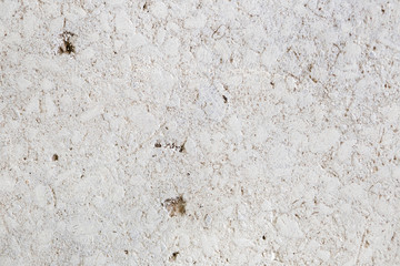 Texture of old gray concrete wall for background 