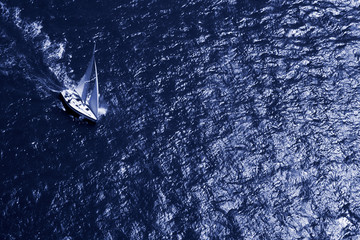 Sailing in Blue Ocean