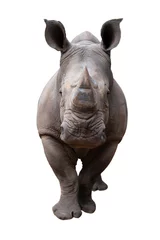 Fotobehang Neushoorn White Rhino  © J.NATAYO