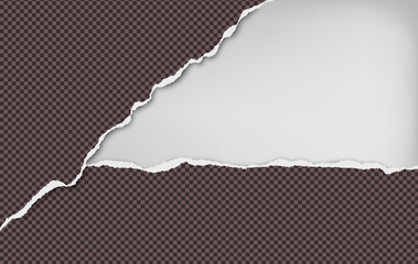 Torn squared dark brown horizontal paper strips with space for text. Vector illustration background