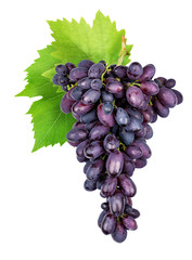 Fototapeta premium Branch of grapes isolated on white background