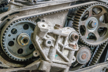 Timing chain on a gears from a car engine.
