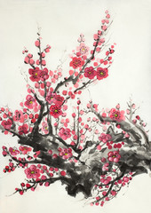 Fototapeta premium flowering branch of plum