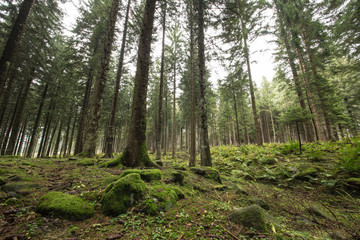 Clouds in the autumn of swiss alps