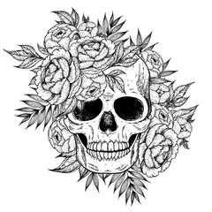 Skull and flowers hand drawn illustration. Tattoo vintage print. Skull sketch.