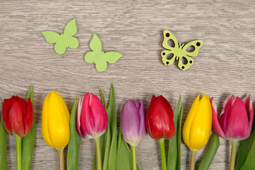 Tulpen und Schmetterlinge