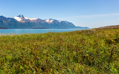 Gorgeous view of the Chilkoot inlet sailing from Skagway, Alaska.
