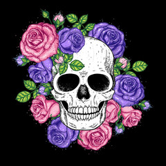 Skull and flowers hand drawn illustration. Tattoo vintage print. Skull and roses.