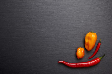 Bunte Chili Schoten auf dunkler Steinplatte