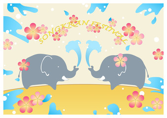 Twin elephants play a water in Water festival