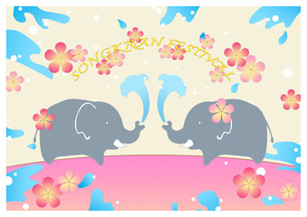 Twin elephants play a water in Water festival