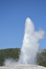 A vertical photo of the Old Faithful geyser in explosion.  Taken of course within the Yelowstone National Park, Wyoming, USA.