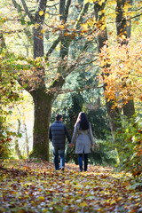Fototapeta premium Junges Paar geht im Wald spazieren
