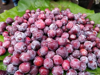 Grewia asiatica or Falsa fruits of Southeast Asia