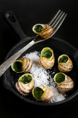 escargots farcis cuits sur fond noir