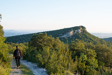 Fototapeta premium Garrigue gardoise