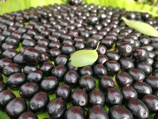 Closeup of Jamun Berry