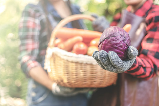 Farmer holding fresh cabbage with a blurred back of women holding a basket of vegetables.