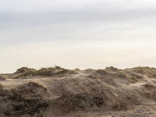 Fototapeta na wymiar Dune landscape on the island Helgoland