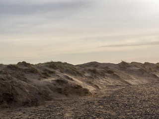 Fototapeta na wymiar Dune landscape on the island Helgoland