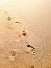 Human footsteps on wet sand and sun rays