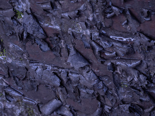 OLYMPUS DIGITAL CAMERA - DROPPINGS