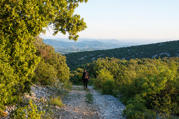 Fototapeta premium Garrigue gardoise