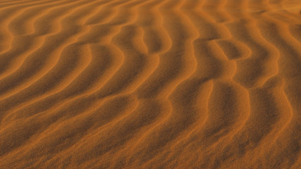 Red sand in the desert