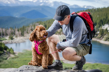 Dog catching breath with man on mountain hike