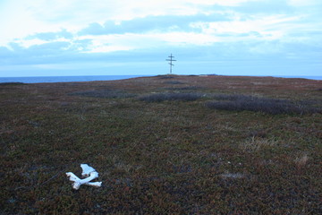 The bones of the animal among the Heather and the cross of memory on the beach.