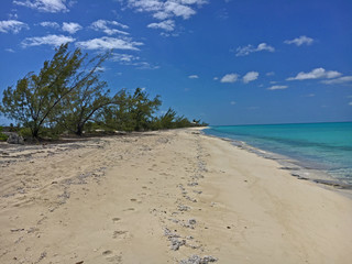 Normans Cay Beach Bahamas