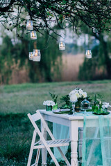 Festive table decorated with branches of greenery, stands on green grass in the area of wedding...