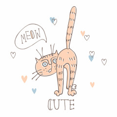Funny cat in a cute style. Doodles. Cartoon-style.Vector illustration