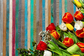 fiori primavera sfondo bello
