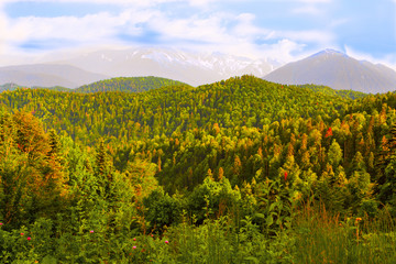 Fototapeta na wymiar The beauty of the North Caucasus mountains in the evening sun, snow-capped mountains and the awakened greenery of spring trees