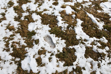 Footprint of a human in the snow in mountains after Winter in Spring