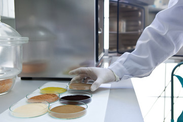 Olive extractions in a laboratory